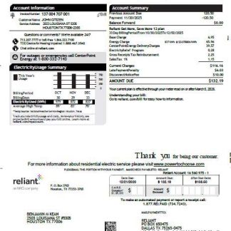 USA Reliant Energy utility bill template in Word and PDF formats, version 2 download template file