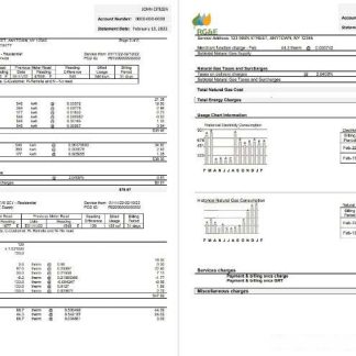 USA RG&E utility bill template in Word and PDF format (2 pages) 3 4 download template file