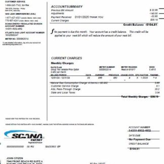USA SCANA Energy utility bill template in Word and PDF formats download template file