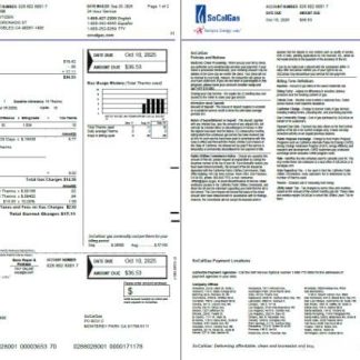 USA So Cal Gas utility bill template in Word and PDF formats, 2 pages, version 2 download template file