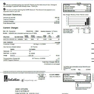 USA So Cal Gas utility bill template in Word and PDF formats, version 3 download template file