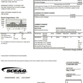 USA South Carolina SCE&G electricity utility bill template in Word and PDF format download template file
