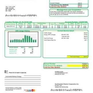 USA South Dakota Southeastern Electric utility bill template in Word and PDF format download template file