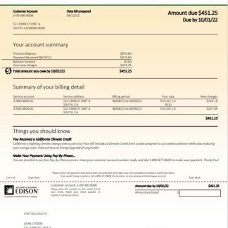 USA Southern California Edison utility bill template in Word and PDF format download template file