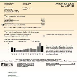 USA Southern California Edison utility bill template in Word and PDF formats, version 2 download template file