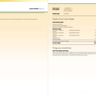 USA Southern California EDISON utility bill, Word and PDF template, 8 pages 5 6 download template file