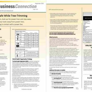 USA Southern California EDISON utility bill, Word and PDF template, 8 pages 7 8 download template file