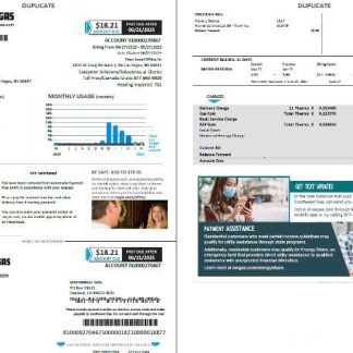 USA Southwest Gas utility bill template in Word and PDF formats, 2 pages download template file