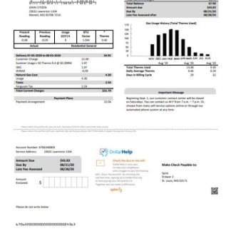 USA Spire gas utility bill template in Word and PDF format download template file