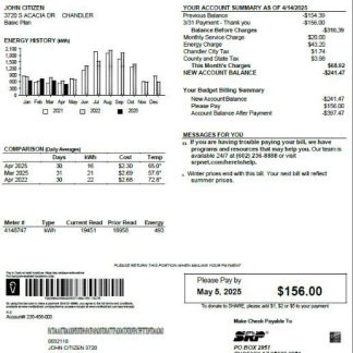 USA SRP utility bill template in Word and PDF formats download template file