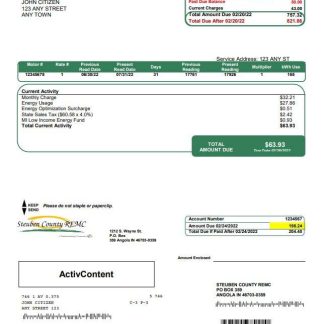 USA Steuben Country REMC utility bill template in Word and PDF format download template file