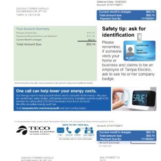 USA TECO utility bill Word and PDF template download template file