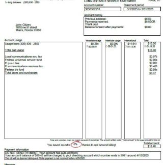 USA Telna utility bill template in Word and PDF formats download template file