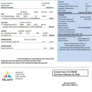 USA Tennessee MLGW utility bill template in Word and PDF format download template file