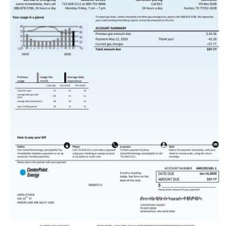 USA Texas Center Point Energy utility bill template in Word and PDF format download template file