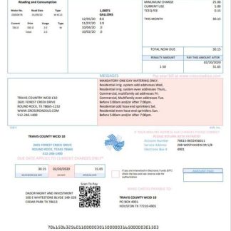 USA Texas Dasor Management and Investment utility bill template in Word nd PDF format download template file