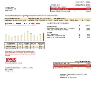 USA Texas GVEC utility bill template in Word and PDF format download template file