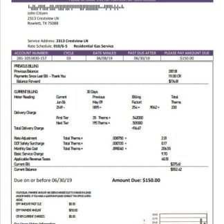 USA Texas Summer Energy easy fillable utility bill template in Word and PDF format download template file