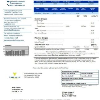 USA Texas TriEagle utility bill template in Word and PDF (.doc and .pdf) format download template file