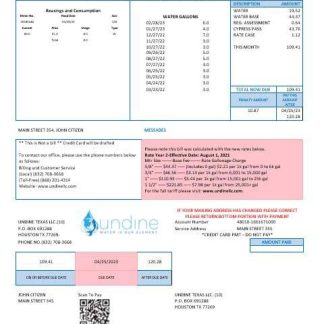USA Texas Undine water is our element water utility bill Word and PDF formats download template file