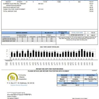 USA Tri County Electric Cooperative utility bill template in Word and PDF format download template file