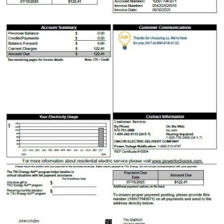 USA TXU Energy utility bill template in Word and PDF formats, version 2 download template file