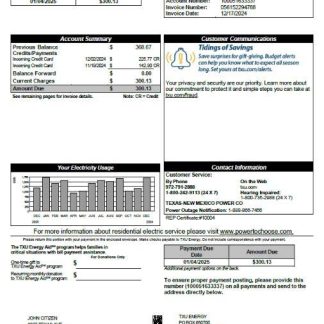 USA TXU Energy utility bill template in Word and PDF formats, version 3 download template file