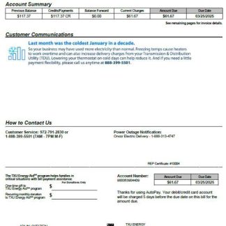 USA TXU Energy utility bill template in Word and PDF formats, version 4 download template file
