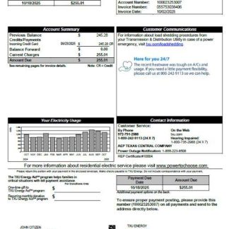 USA TXU Energy utility bill template in Word and PDF formats, version 5 download template file