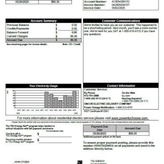 USA TXU Energy utility bill template in Word and PDF formats, version 6 download template file