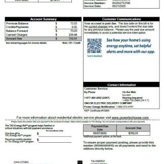 USA TXU Energy utility bill template in Word and PDF formats, version 7 download template file