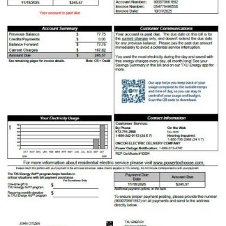 USA TXU Energy utility bill template in Word and PDF formats, version 8 download template file