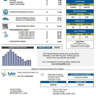 USA Tyler Technologies utility bill template in Word and PDF format download template file