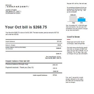 USA Verizon utility bill template in Word and PDF formats, version 3 download template file
