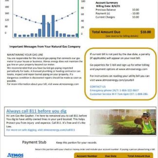 USA Virginia Atmos Energy utility bill template in Word and PDF format (.doc and .pdf) download template file