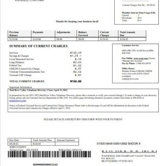 USA Waitsfield Telecom utility bill template in Word and PDF format download template file