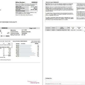 Canada Ontario London Hydro utility bill scr download template file