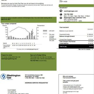 USA Washington Gas (WGL) utility bill template in Word and PDF format download template file