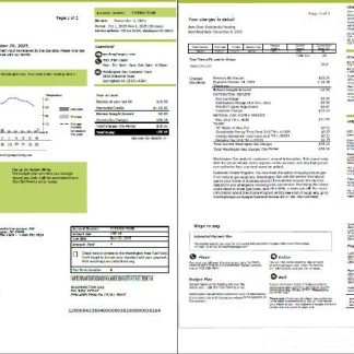 USA Washington Gas utility bill template in Word and PDF formats, 2 pages download template file