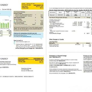 USA Washington Puget Sound Energy utility bill template in Word and PDF format, 2 pages, version 2 download template file
