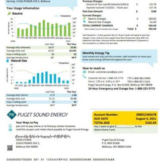 USA Washington Puget Sound Energy utility bill template in Word and PDF format download template file