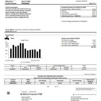 USA Washington Water Service utility bill template in Word and PDF format download template file