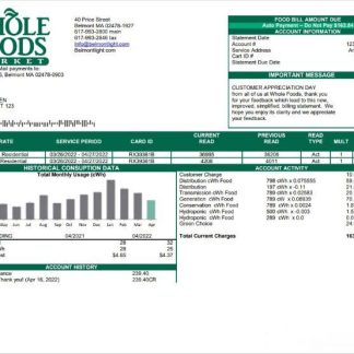 USA Whole Foods Market utility bill template in Word and PDF format download template file