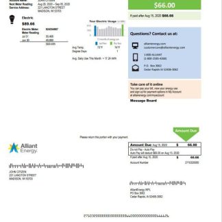 USA Wisconsin Alliant Energy electricity utility bill template in Word and PDF format download template file