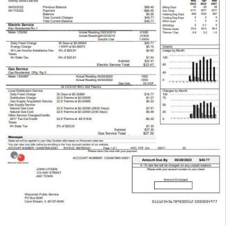 USA WPS utility bill template in Word and PDF format download template file