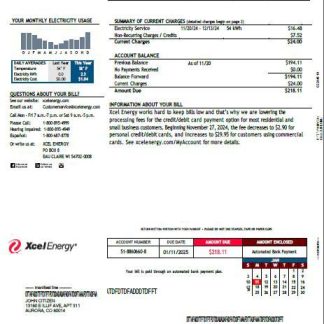 USA Xcel Energy utility bill template in Word and PDF formats, version 2 download template file