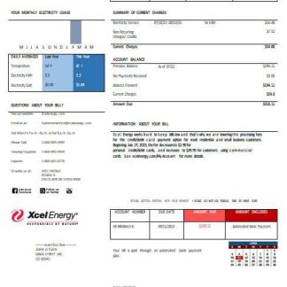 USA XcelEnergy electric utility bill Word and PDF formats download template file