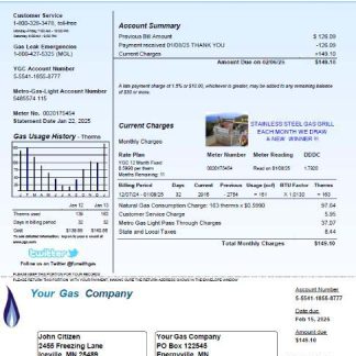 USA Your Gas Company utility bill template in Word and PDF formats download template file