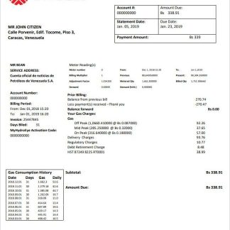 Venezuela PDVSA Gas utility bill template in Word and PDF format download template file