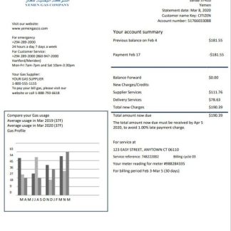 Yemen Gas Company utility bill template in Word and PDF format download template file